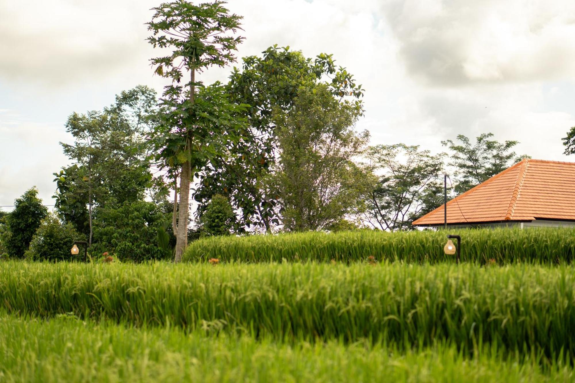 The Ume Sidemen Villas Sidemen (Bali) Exterior foto